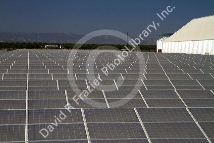 Solar panels create energy used for powering the rice dryer at California Family Foods in Arbuckle, California, USA.
