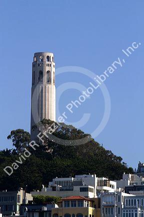 A view of Coit Tower located on Telegraph Hill in San Francisco, California, USA.