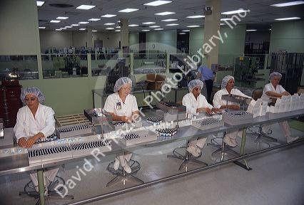 Women working in a pharmaceutical plant in Puerto Rico.