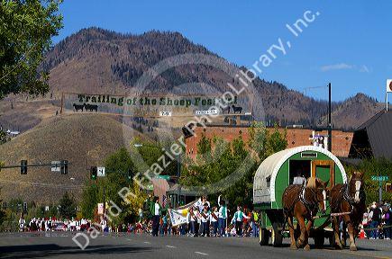 Historic sheep wagons in the Trailing of the Sheep Parade on Main Street in Ketchum, Idaho, USA.