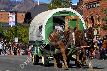Historic sheep wagons in the Trailing of the Sheep Parade on Main Street in Ketchum, Idaho, USA.