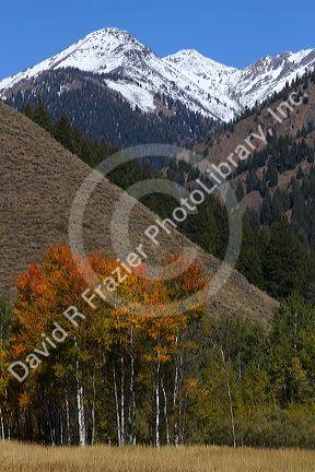 The Pioneer Mountains near Sun Valley, Idaho, USA.