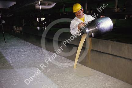 A worker adding ingredients to the curds and whey mixing tank in a cheese factory.