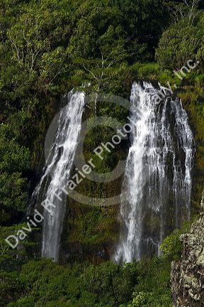 'Opaeka'a Falls located on the Wailua River in Wailua River State Park on the eastern side of the island of Kauai, Hawaii, USA.