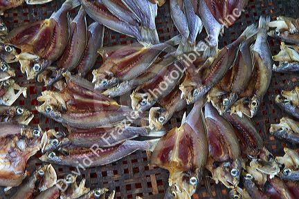 Vendor selling dried fish at an open air market on the island of Ko Samui, Thailand.