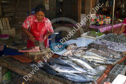 Vendor selling fresh fish at an open air market on the island of Ko Samui, Thailand.