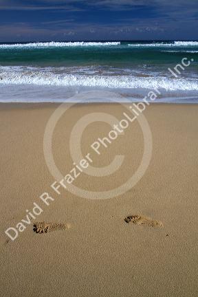 Footprints in the sand at Polihale Beach and State Park located on the western side of the island of Kauai, Hawaii, USA.