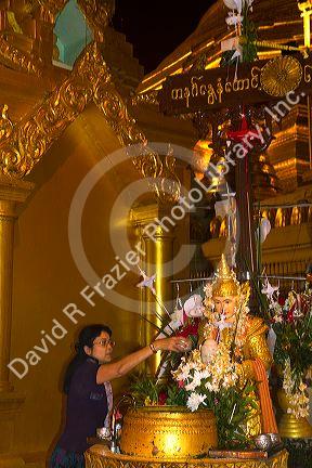 The Shwedagon Paya located in (Rangoon)Yangon, (Burma) Myanmar.