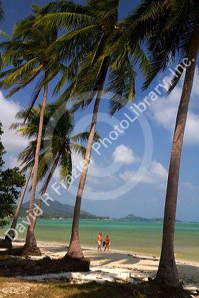 Beach with palm trees and the Gulf of Thailand on the island of Ko Samui, Thailand.
