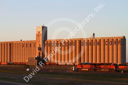BNSF Railway train in front of the Agri Producers Grain Corp grain elevators at Plainview, Texas, USA.