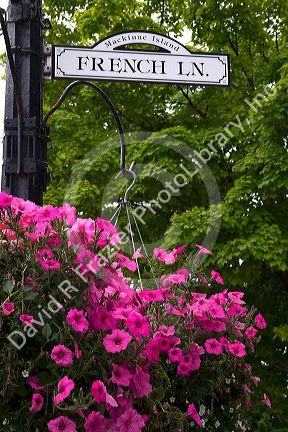 French Lane street sign and hanging flower basket on Mackinac Island located in Lake Huron, Michigan, USA.