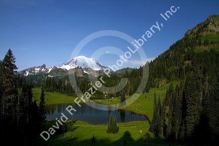 Tipsoo Lake and Mount Rainier at Mount Rainier National Park, Washington, USA.