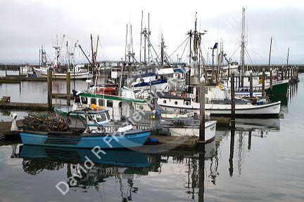 Fishing boats at the Westport Marina located in Westport, Washington, USA.