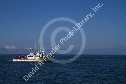 Sport fishing boat in the Pacific Ocean of the coast of Depoe Bay, Oregon, USA.