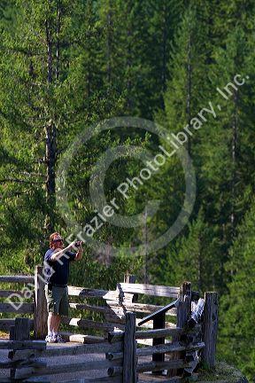 Scenic overlook in Mount Rainier National Park, Washington, USA