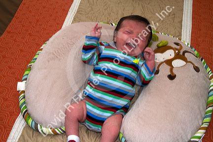 Crying infant boy in Boise, Idaho, USA. MR