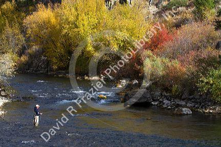 Angler fly fishing on the South Fork of the Boise River in Elmore County, Idaho, USA.