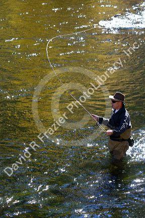 Angler fly fishing on the South Fork of the Boise River in Elmore County, Idaho, USA.