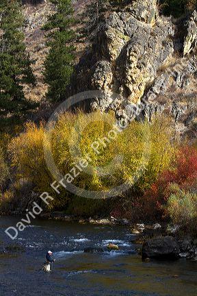 Angler fly fishing on the South Fork of the Boise River in Elmore County, Idaho, USA.