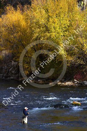 Angler fly fishing on the South Fork of the Boise River in Elmore County, Idaho, USA.