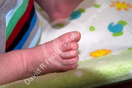 Foot of an infant child, Boise, Idaho, USA. MR