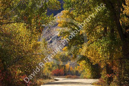 Dirt road along the South Fork of the Boise River in Elmore County, Idaho, USA.