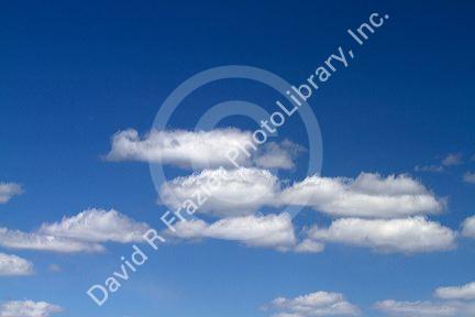 Cumulus clouds in a blue sky.