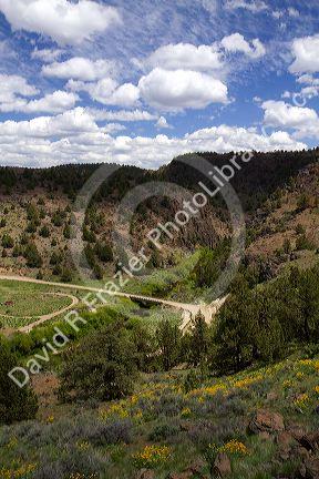 Scenic view along the Owyhee Uplands Backcountry Byway in Owyhee County, Idaho, USA.