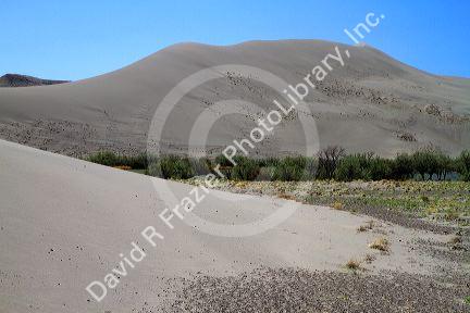 Bruneau Dunes State Park located near Bruneau, Idaho, USA.