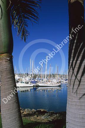 Sailboats docked in the Shelter Island marina in San Diego Harbor, California.
