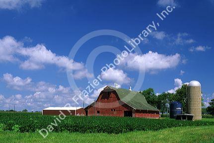 A red barn on a farm in Fayette, Illinois.