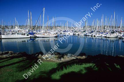 Sailboats docked in the Shelter Island marina in San Diego Harbor, California.