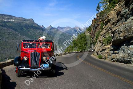 Red Jammer bus on the Going-to-the-Sun Road in Glacier National Park, Montana, USA.