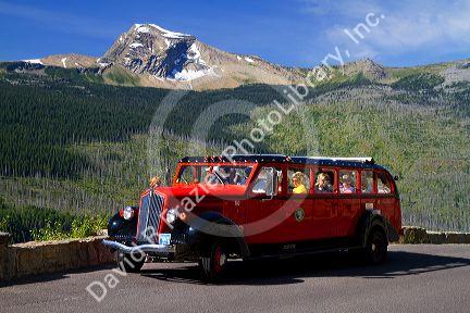 Red Jammer bus on the Going-to-the-Sun Road in Glacier National Park, Montana, USA.