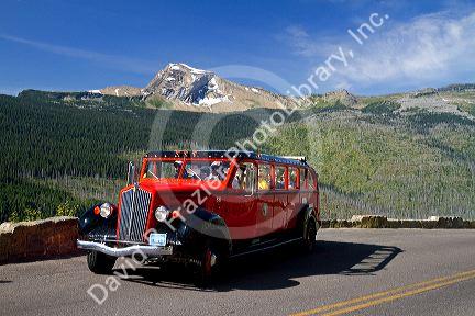 Red Jammer bus on the Going-to-the-Sun Road in Glacier National Park, Montana, USA.