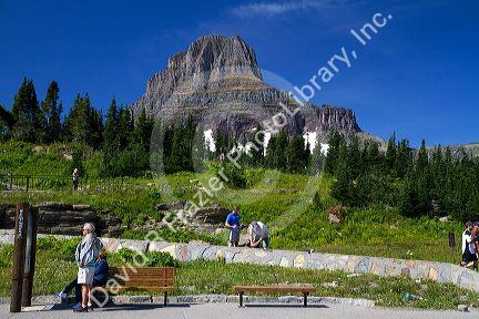 Reynolds Mountain at Logan Pass located along the Continental Divide in Glacier National Park, Montana, USA.