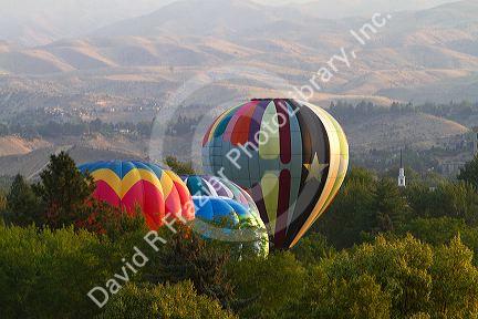 Hot air balloons ready for flight in Ann Morrison Park in Boise, Idaho, USA.