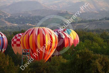 Hot air balloons ready for flight in Ann Morrison Park in Boise, Idaho, USA.
