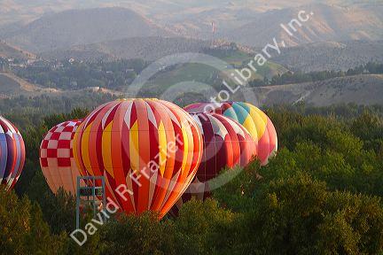 Hot air balloons ready for flight in Ann Morrison Park in Boise, Idaho, USA.
