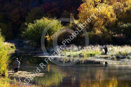 An angler fly fishing on the Logan River in Logan Canyon, Utah, USA.