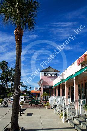 Tarpon Springs aquarium at Tarpon Springs, Florida, USA.