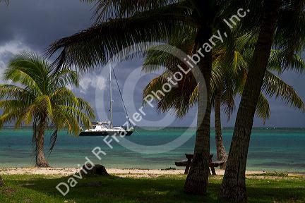 Palm trees and sail boat at Moorea, French Polynesia.