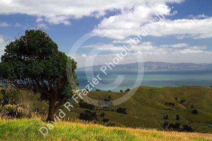 Rolling hills of the Coromandel Peninsula in the North Island of New Zealand.