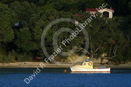 Mercury Bay located on the eastern coast of the Coromandel Peninsula on the North Island of New Zealand.