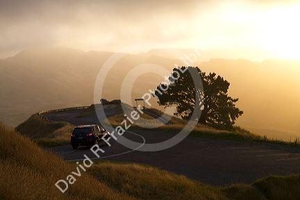 Mountain pass with fog at sunset near Hamilton in the Waikato Region, North Island, New Zealand.