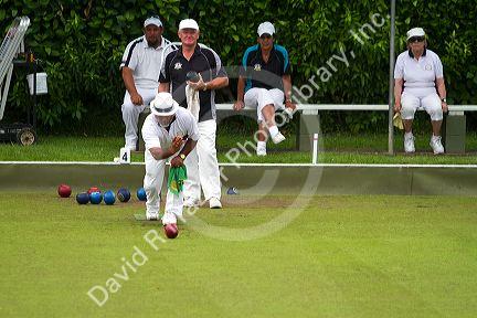 Lawn bowling at Waitangi in the Bay of Islands, North Island, New Zealand.