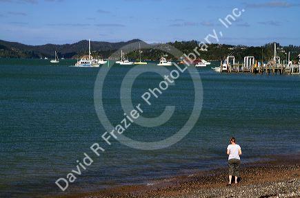 Bay of Islands at the town of Paihia, North Island, New Zealand.