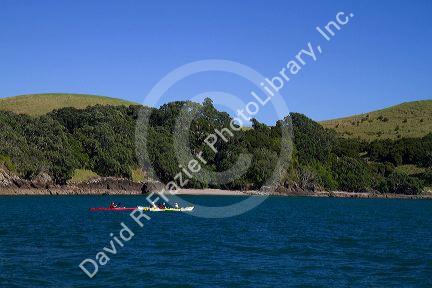 Kayaking in the Bay of Islands, North Island, New Zealand.