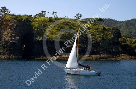 Sail boat in the Bay of Islands, North Island, New Zealand.