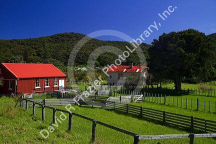 Old farmstead at the Bay of Islands in the Northland Region, North Island, New Zealand.